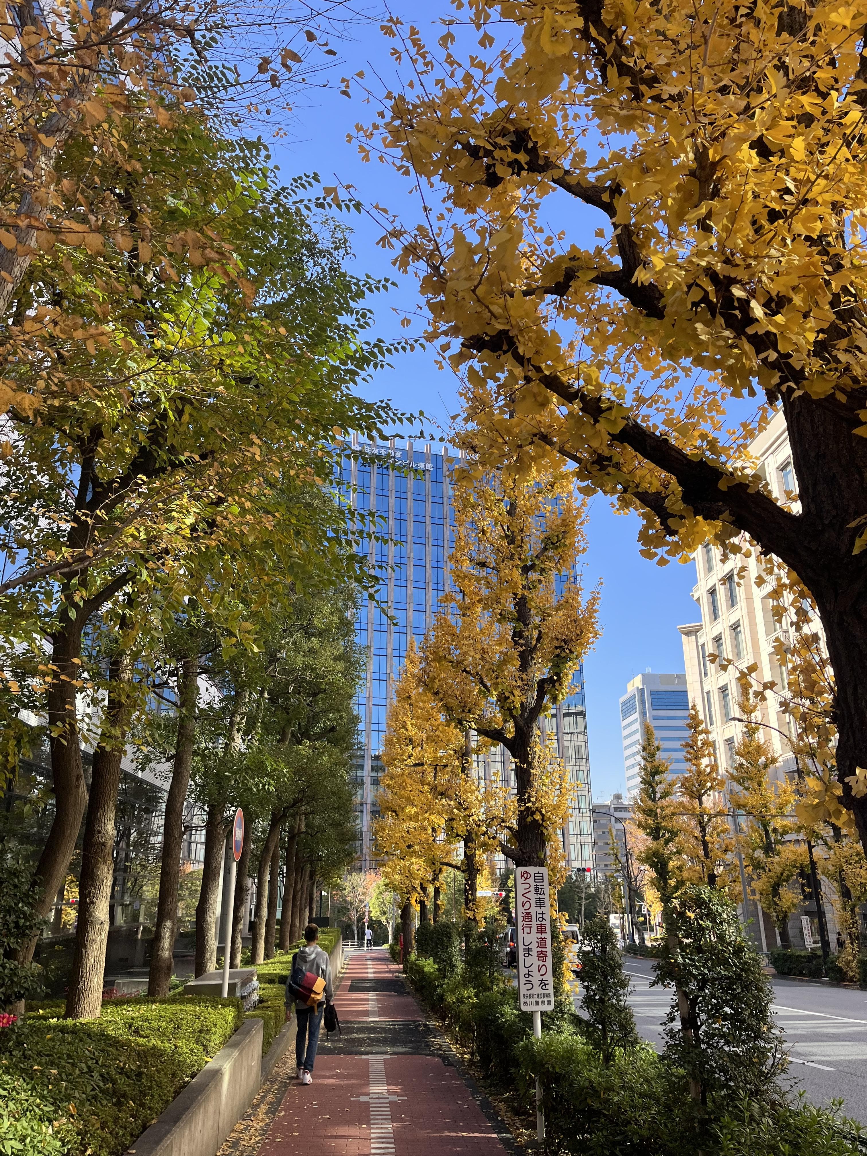 日本房地產鬼故事，真實血淚請大家不要上當。