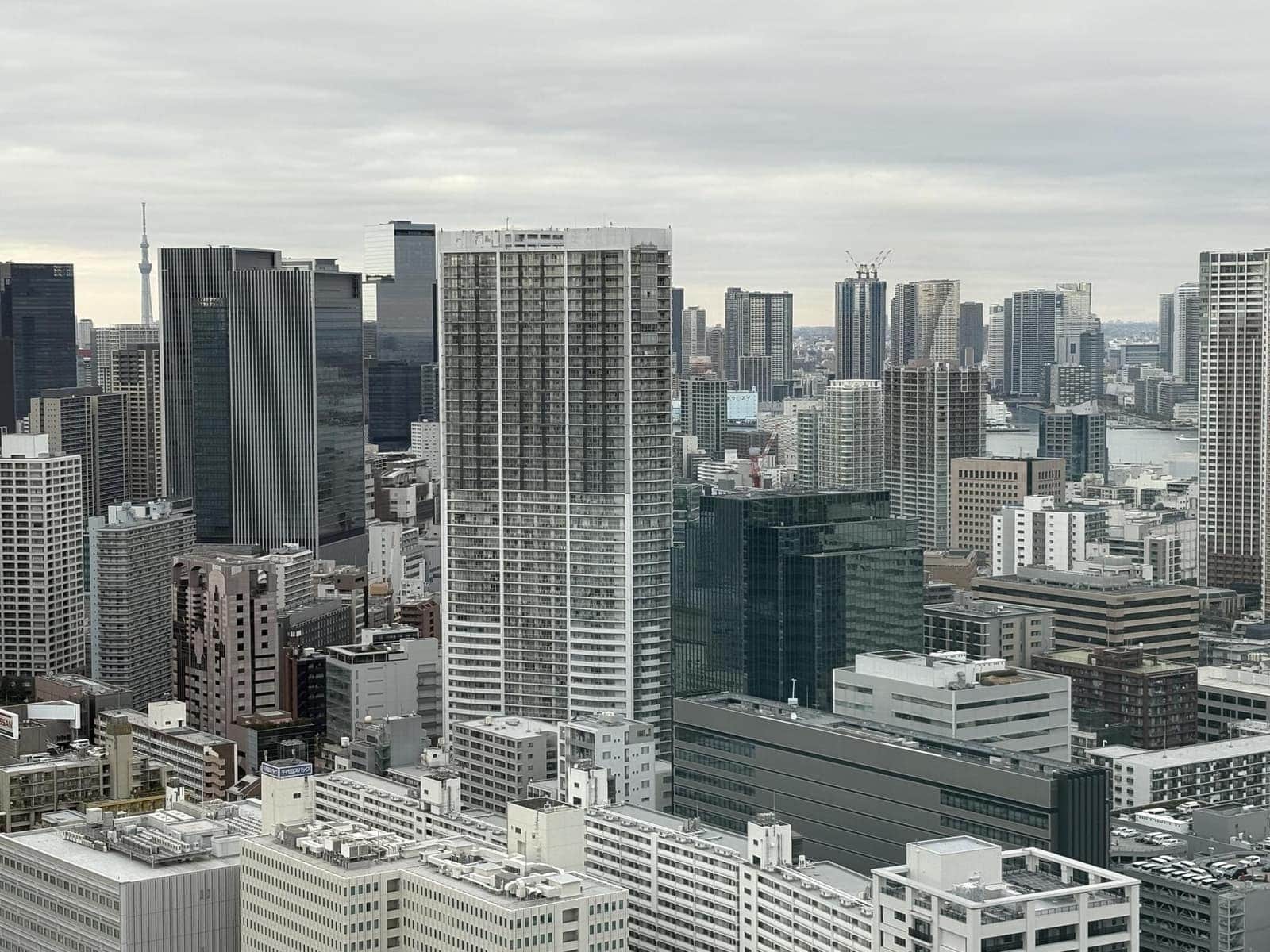 日本のハザードマップの見方:浸水深の区分、液状化の可能性と購入前のチェックガイド