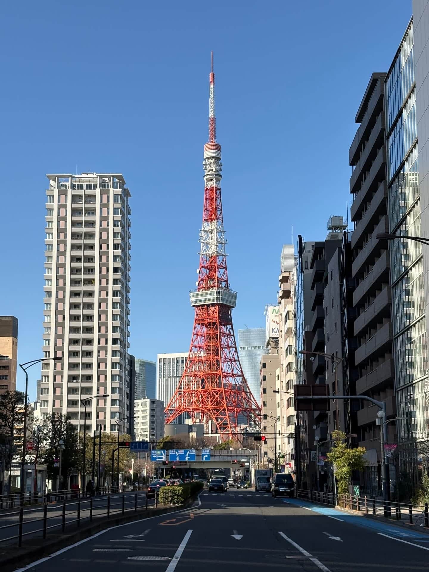 港区不動産完全ガイド:エリア・相場・典型的な物件選びの考え方(2026年版)